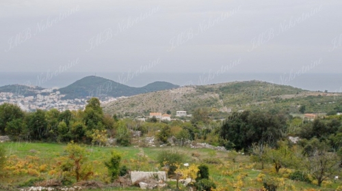 Farmland of 10.057 m2 - Dubrovnik surrounding